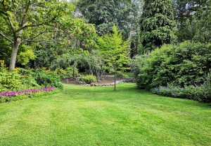 Optimiser l'expérience du jardin à Sainte-Marguerite-Lafigere